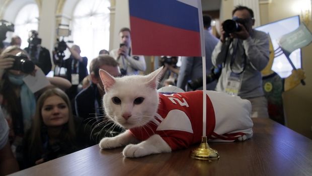 cat-mundial