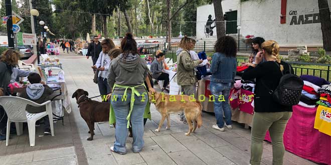 filozoikos-nea-filadelfeia-bazaar-2018-02